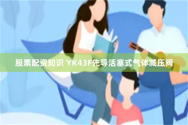 股票配资知识 YK43F先导活塞式气体减压阀