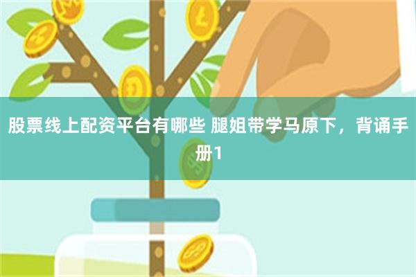 股票线上配资平台有哪些 腿姐带学马原下，背诵手册1