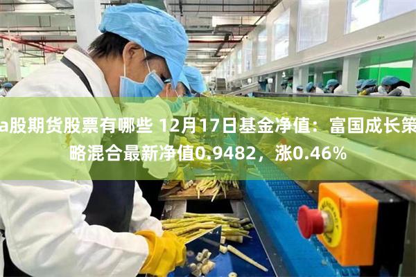 a股期货股票有哪些 12月17日基金净值：富国成长策略混合最新净值0.9482，涨0.46%