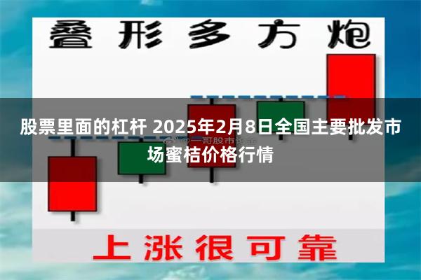 股票里面的杠杆 2025年2月8日全国主要批发市场蜜桔价格行情