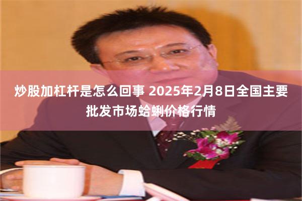 炒股加杠杆是怎么回事 2025年2月8日全国主要批发市场蛤蜊价格行情