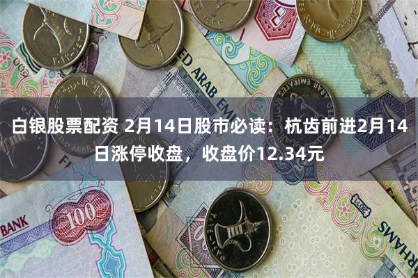 白银股票配资 2月14日股市必读：杭齿前进2月14日涨停收盘，收盘价12.34元