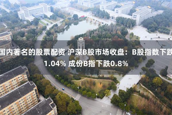 国内著名的股票配资 沪深B股市场收盘：B股指数下跌1.04% 成份B指下跌0.8%