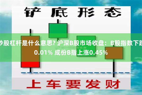 炒股杠杆是什么意思? 沪深B股市场收盘：B股指数下跌0.01% 成份B指上涨0.45%