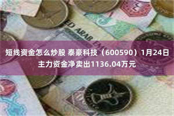 短线资金怎么炒股 泰豪科技（600590）1月24日主力资金净卖出1136.04万元